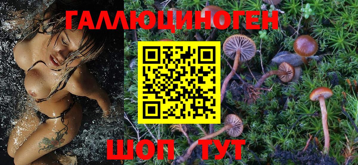 Каменск-Шахтинский  Галлюциногенные грибы MAGIC MUSHROOMS  Псилоцибиновые грибы GOLDEN TEACHER  Вход с VPN 