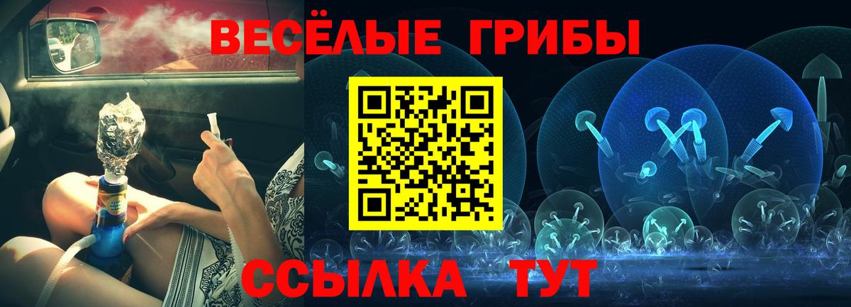 Псилоцибиновые грибы прущие грибы Каменск-Шахтинский